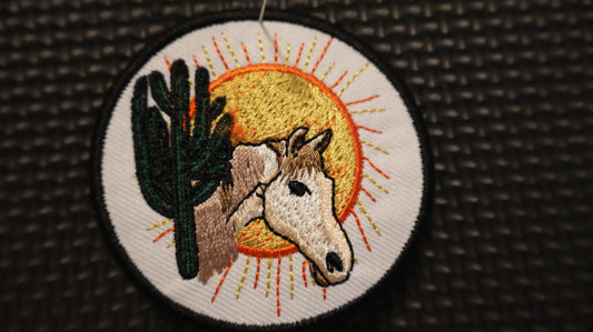 Horse in Sun