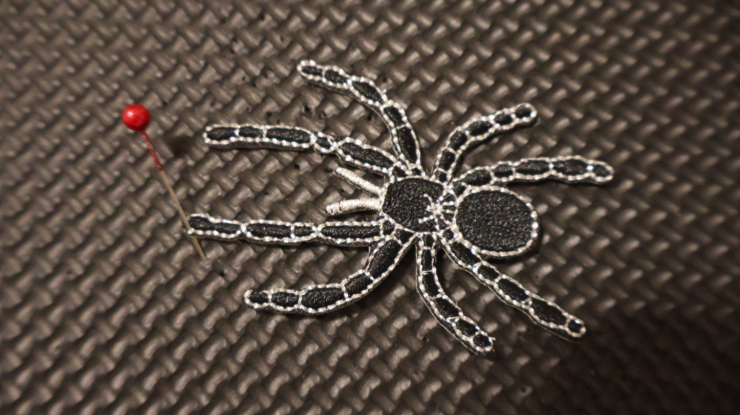 Spider
